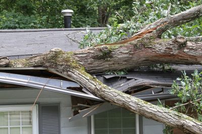 Storm Damage Cleanup
