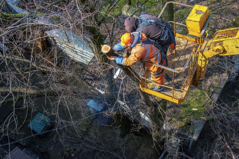 Products For Emergency Tree Removals in use