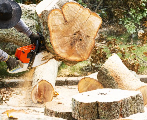 Grow your Emergency Tree Removal business
